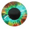 Green/ Brown/ Light Blue/ Black