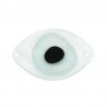 Light Blue/ Black
