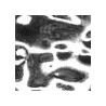 Argent UV