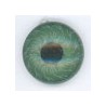 Green/Black