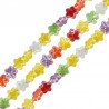 Multicolor