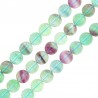 Transparent Green/Transparent Purple