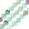 Transparent Green/Transparent Purple