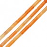 Arancione Chiaro/ Marrone Chiaro