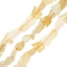 Yellow/ Beige
