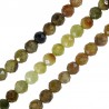 Vert/ Vert clair/ Marron/ Multicolore