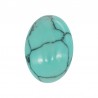 Turquoise Howlite