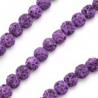 Viola Fucsia
