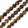 Shinny Brown/ Mustard/ Black