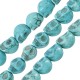Howlite 3D Skull Turquoise 9.5x12mm (34pcs) (40cm)