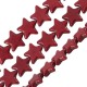 Passante di Howlite Stella 20mm (~24pz/filo)
