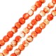 Perle facetée en semi-précieuse Howlite 4mm (~102pcs/fil)