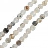 Blanc/Marron