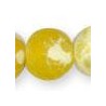 Yellow/White Multi