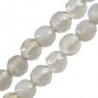 Grigio Trasparente