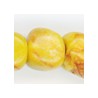 Yellow/Multi