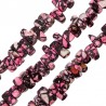Fucsia/ Nero/ Multicolore