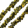 Amarillo/Oliva/Negro