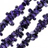Purple/ Black