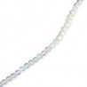 Opalio