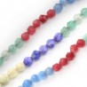 Multicolore