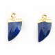 Lapis Tooth Charm with Brass Setting 11x17mm