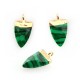 Malachite Tooth Charm with Brass Setting 10x16mm