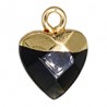 Black/Gold