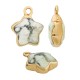 Charm di Pietra Semipreziosa Howlite Stella 12mm