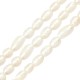 Perla Cultivada 7x8mm (Ø2mm) (42uds)