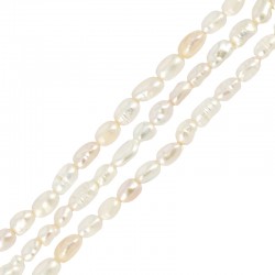 Perle D'Eau Douce (~2-3 mm Ø0.2 mm (~84 Pièces)