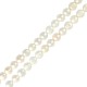 Perla D'Acqua Dolce (~10-11 mm Ø~0.6 mm (~37 Pezzi)