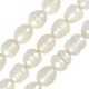 Fresh Water Pearl Bead (~10-11mm Ø~0.6mm (~33pcs)