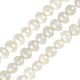 Fresh Water Pearl Bead 7-8mm Ø~0.6mm (~49pcs/str)