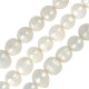 Fresh Water Pearl Bead 10-11mm Ø~0.6mm (~36pcs/str)
