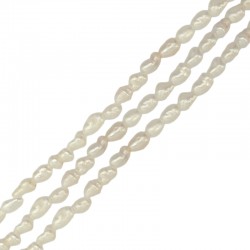 Μαργαριτάρι Χάντρα 2-3mm