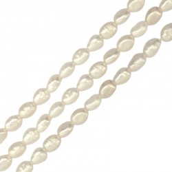 Μαργαριτάρι Χάντρα Οβάλ 4-5mm