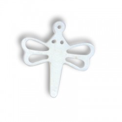 Conchiglia Libellula 22X28Mm