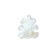 Shell Bear 24x22mm