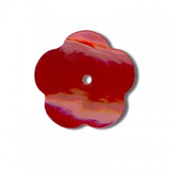 Fiore di Conchiglia 23 mm