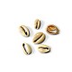 Shell Slider ~20x15mm (~35pcs)