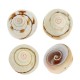 Shell Bead Slider (~17x20mm Ø~1.2mm (~10pcs)