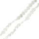 Perle en Coquillage cœur plat 10 mm Ø~0.8 mm (~38 Pièces)