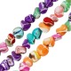 Shell Irregular Bead 6-8mm Ø~0.6mm (~67pcs)