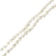 Perla Conchiglia (~6X8 mm Ø~2 mm (~159 Pezzi)