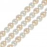 Champagne/ Blanc
