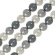Pearlin on Natural Shell Bead Round 6mm