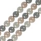 Pearlin on Natural Shell Bead Round 6mm