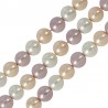 Purple/ Champagne/ White