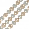 Champagne/ White